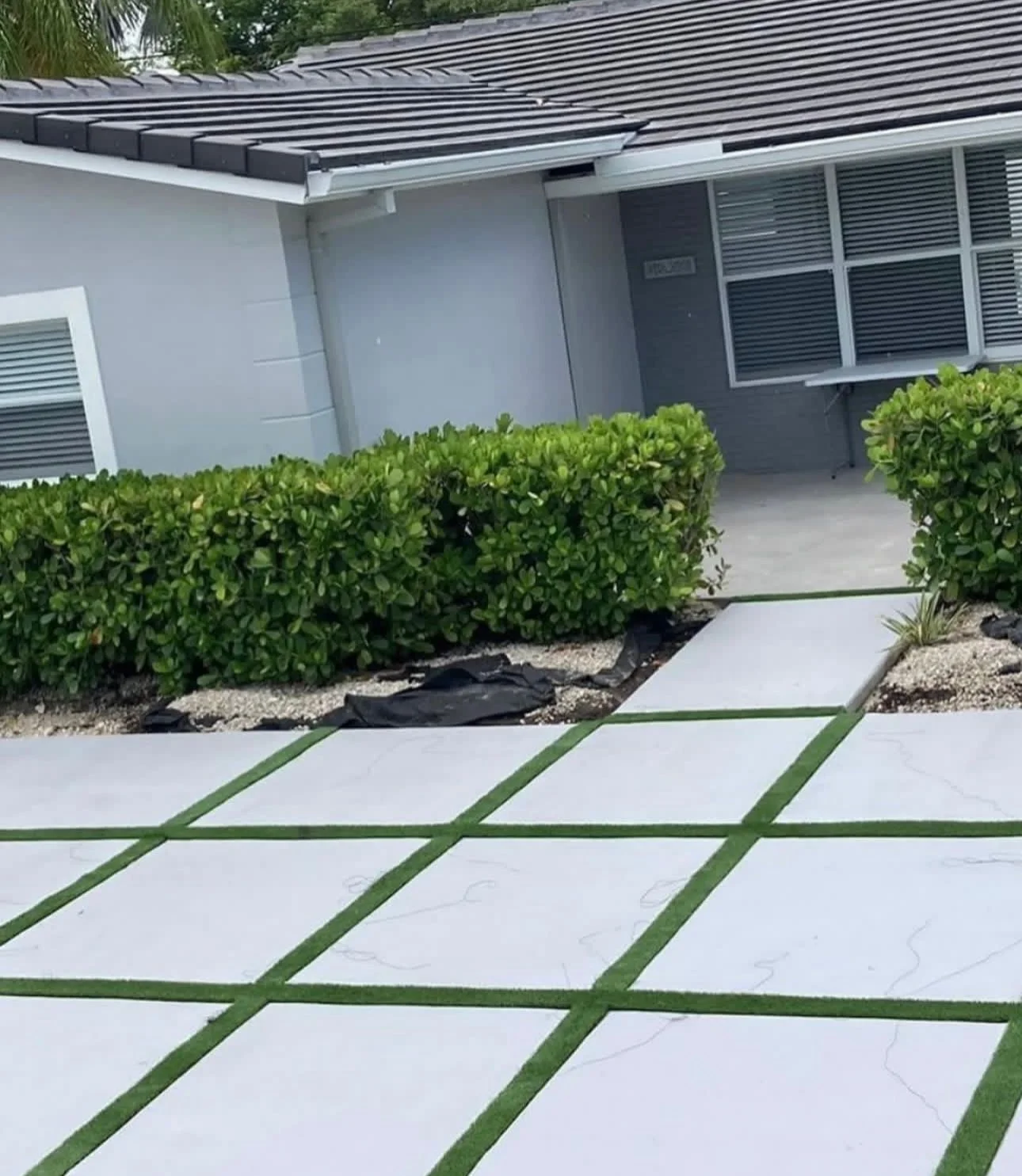 Concrete walkway & lawn — Moncada project gallery